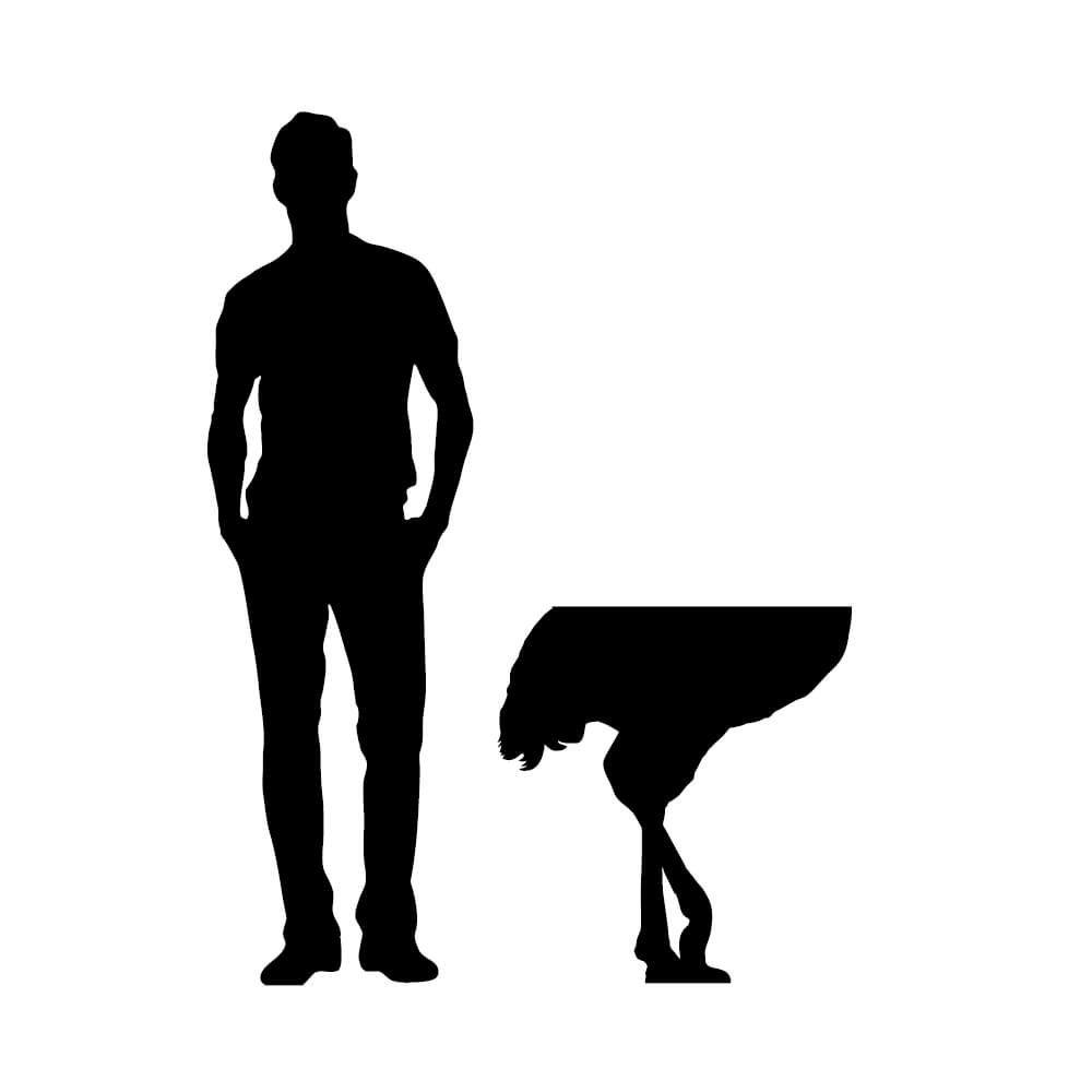 Console murale DIVA autruche 71x25xH76 cm - vert profond mat - Ibride – Image 5