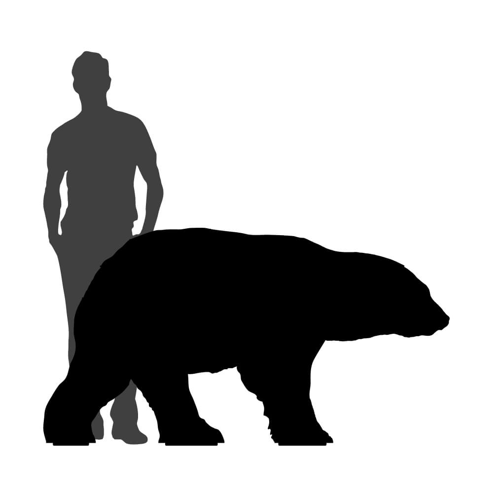 Grande bibliothèque ours JOE 206x86xH155 cm - terracota mat - Ibride – Image 7