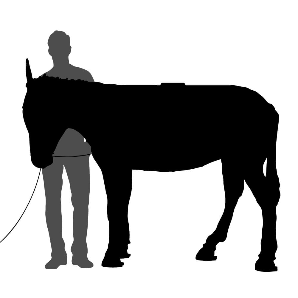 Bureau connecté âne MATURIN 200x60xH156 cm - vert profond mat - Ibride – Image 8